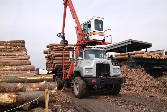 feeding logs into the mill from logging truck